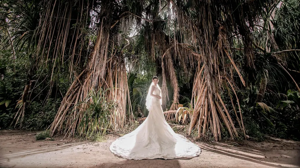Wedding Photography