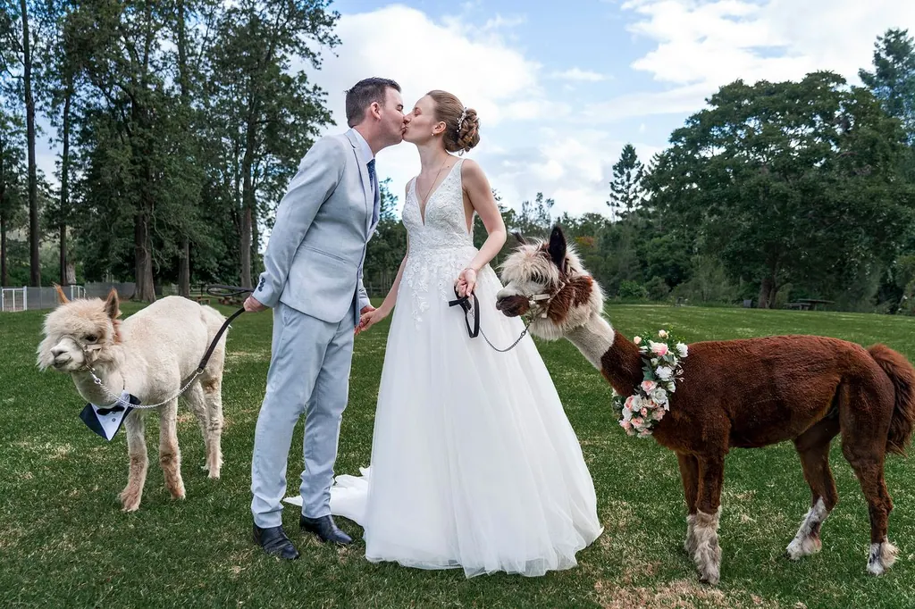 Wedding Photography