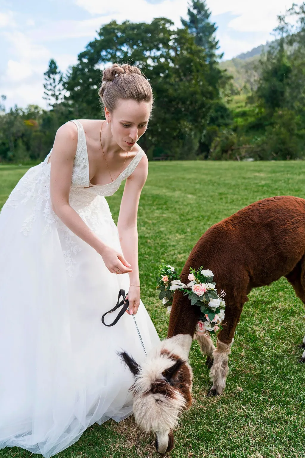 Wedding Photography