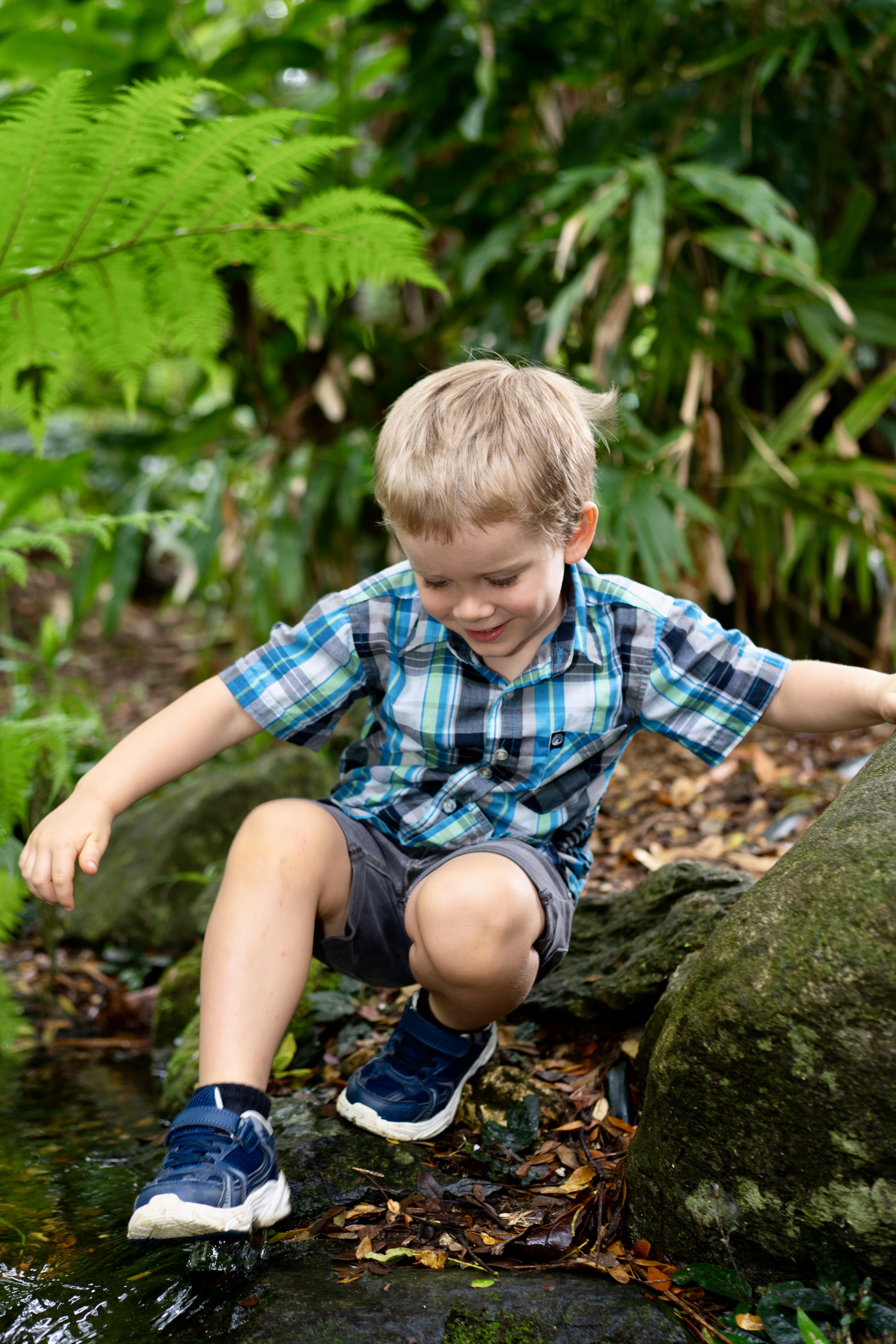 Family Photography at Cairns Botanic Gardens After Rain